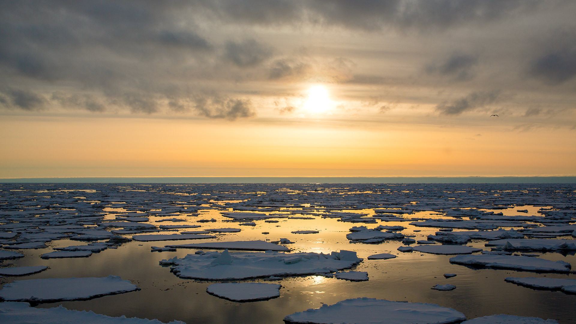 sunrise over sea ice