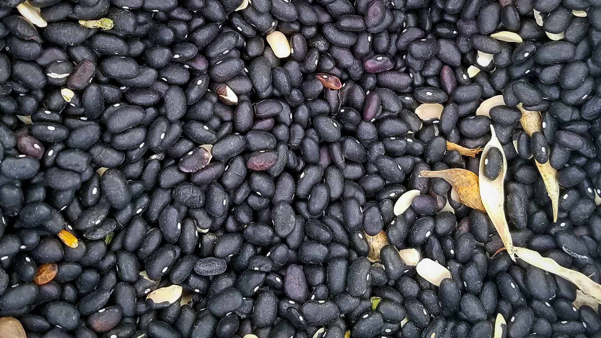 20191010 092852 1920x1080