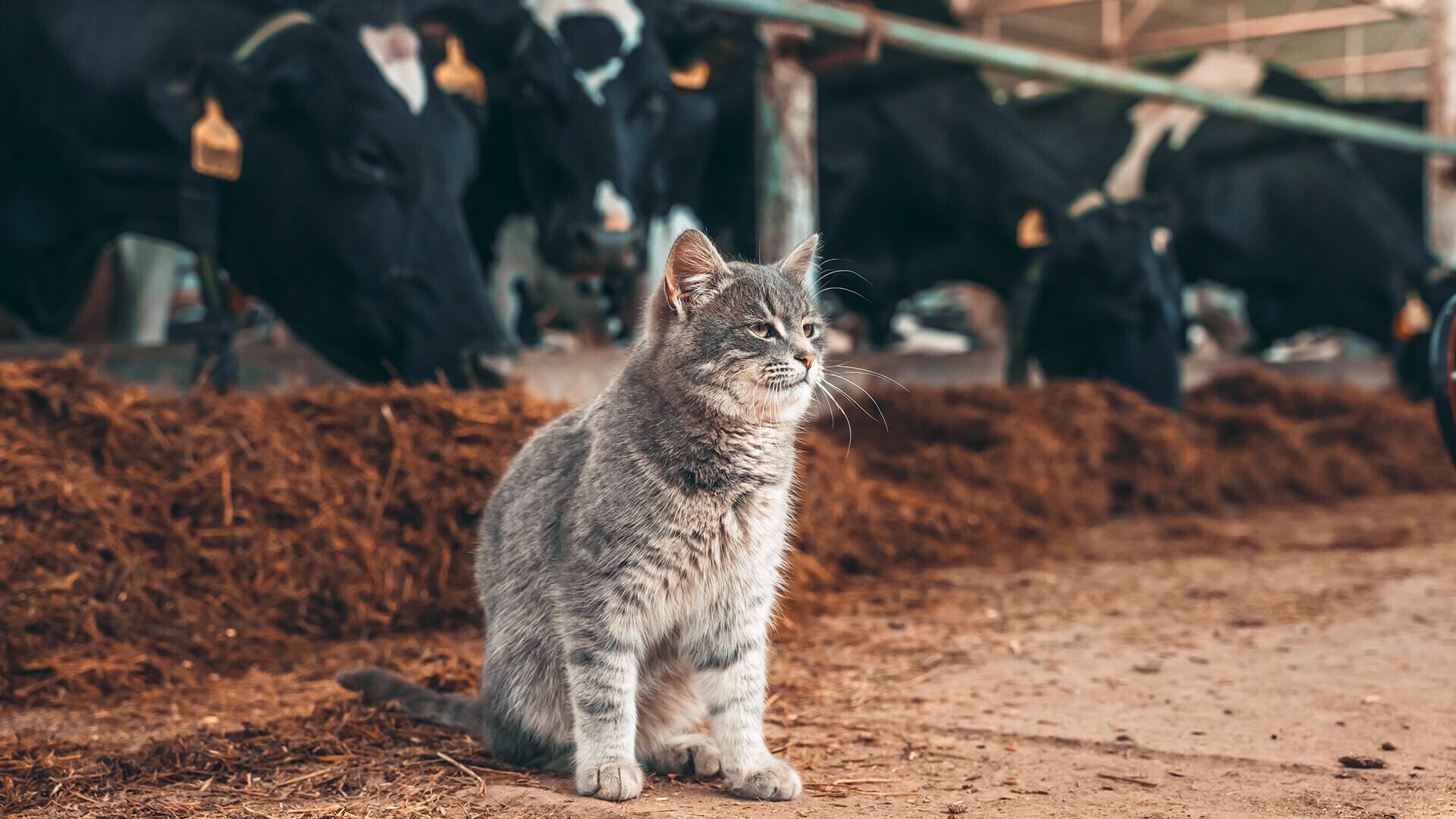 Adobe Stock 516044820 1920x1080