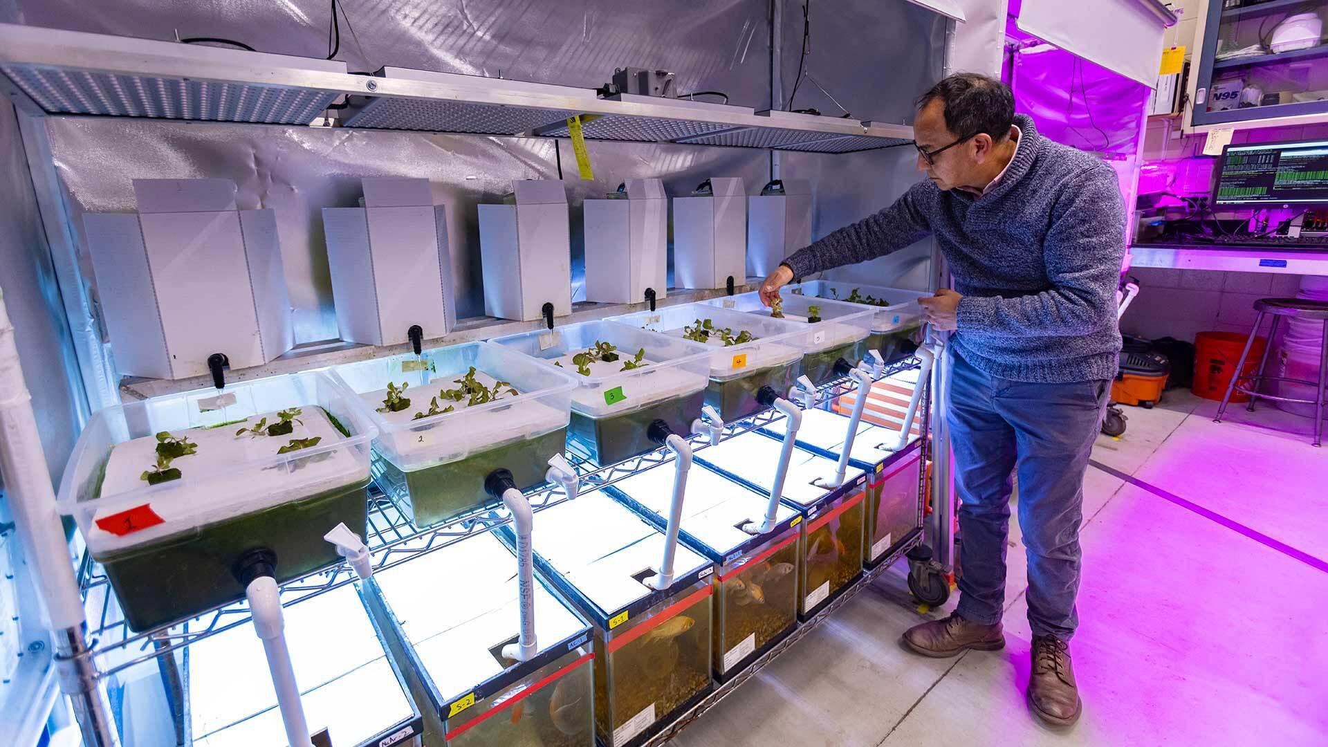 Aquaponics Lab Jose Luis Izursa 01232024 JC 7494 1920x1080 1