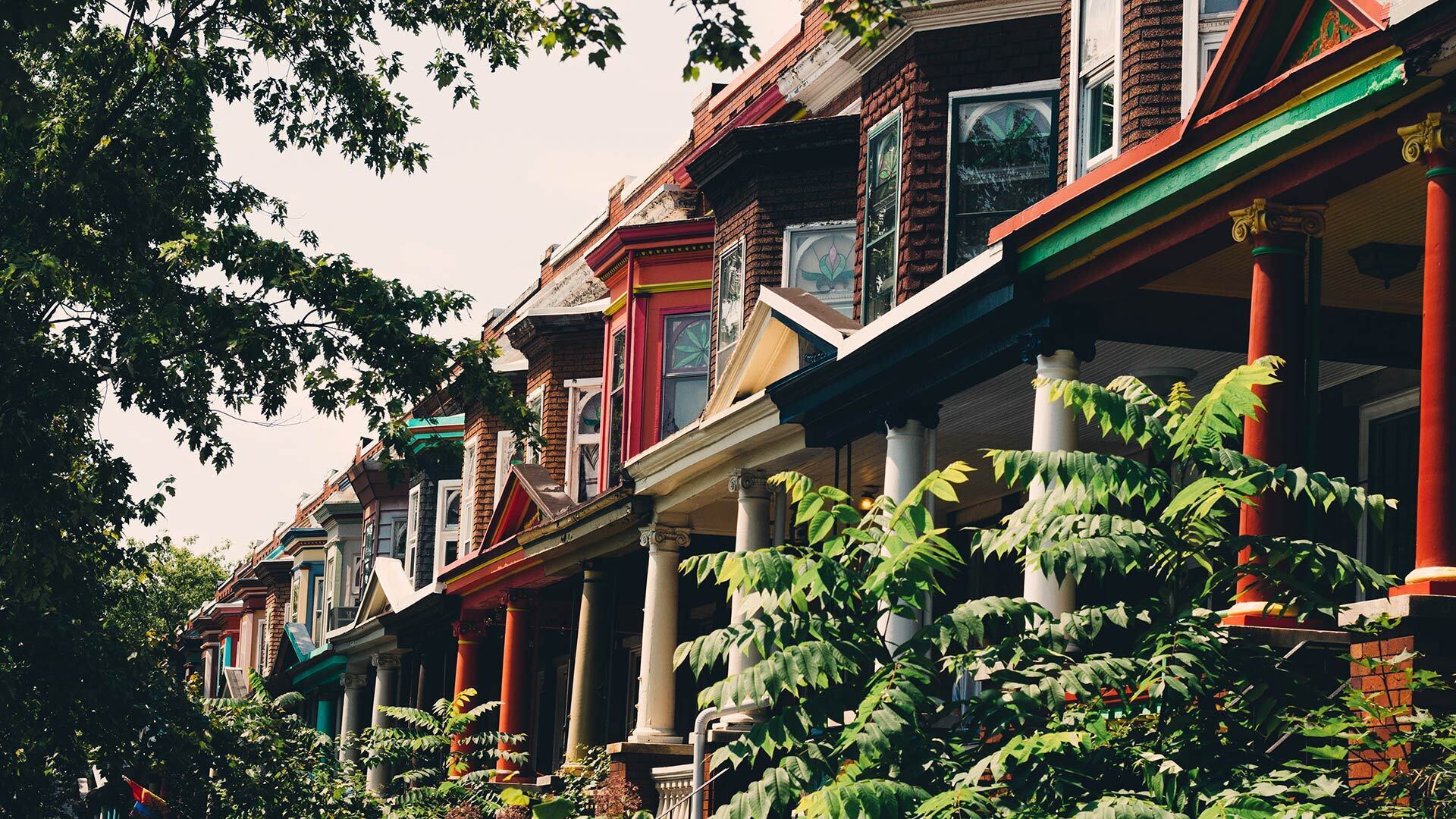 Baltimore Treesi Stock 1126241262