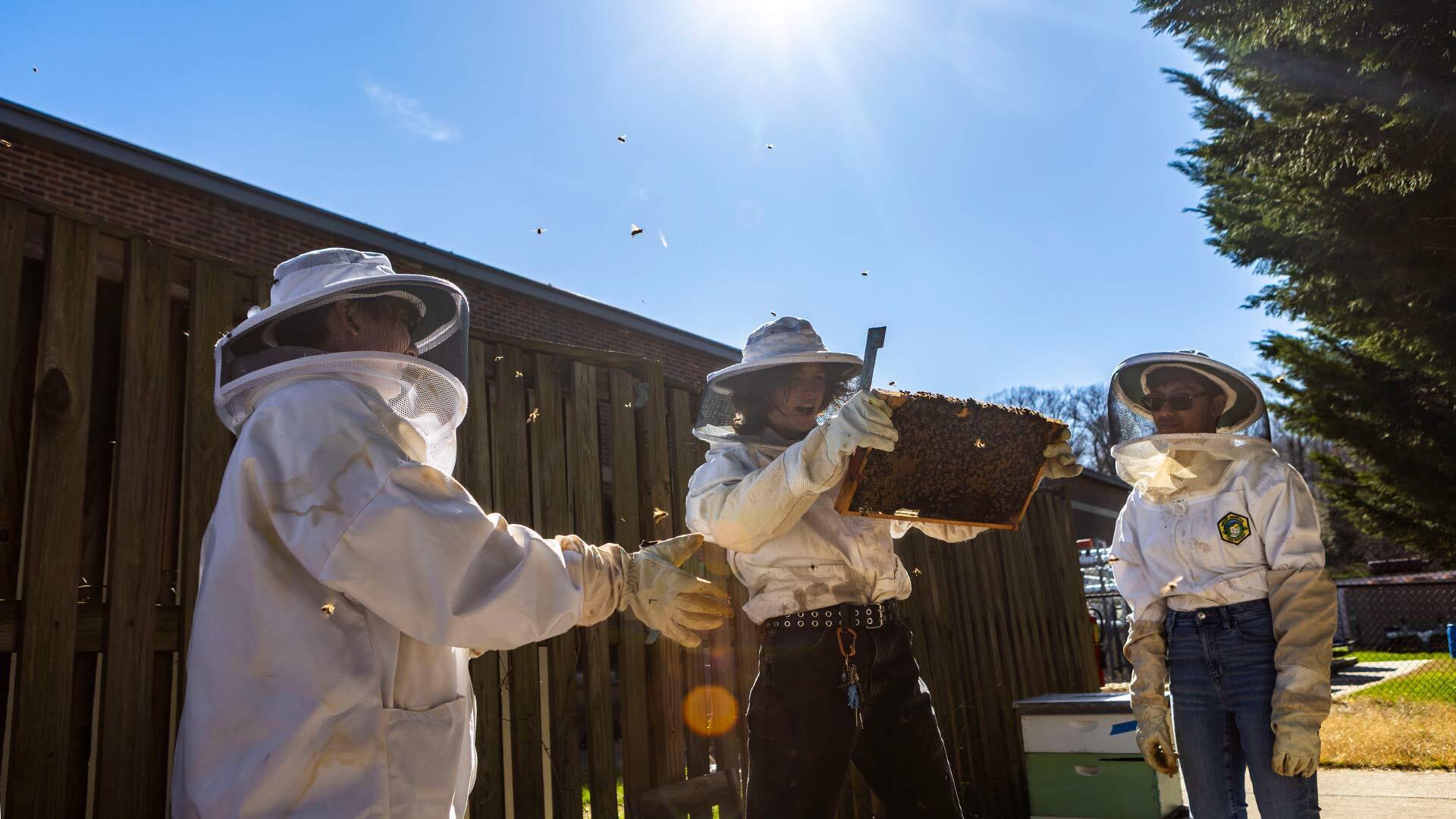 Beekeeping Club 03272025 DS 8723 1920x1080