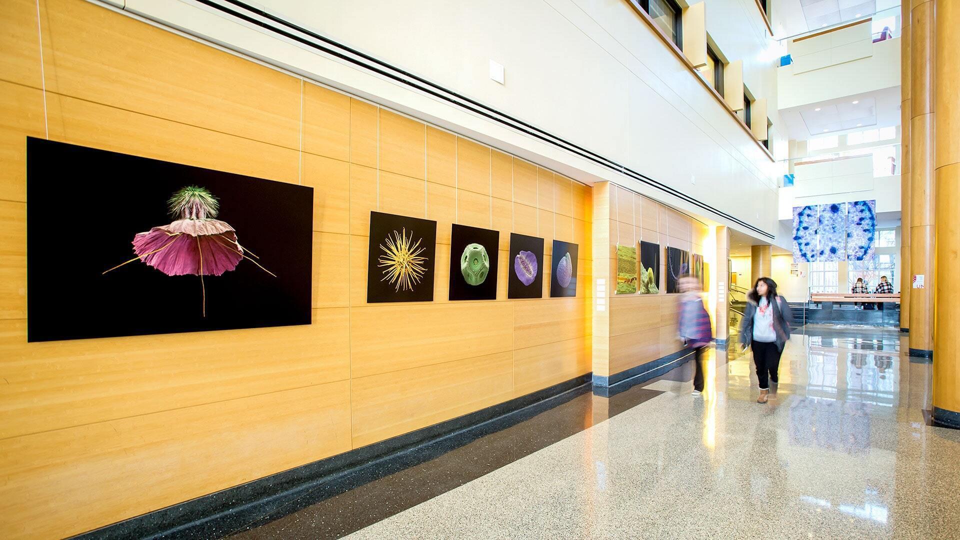 Bioscience Art Exhibition 02122018 1716 min