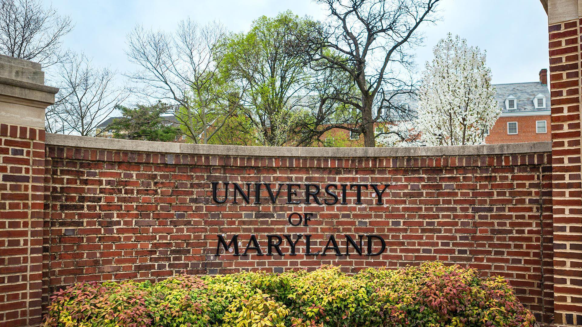 Campus 0331021 SC 7395 1920x1080