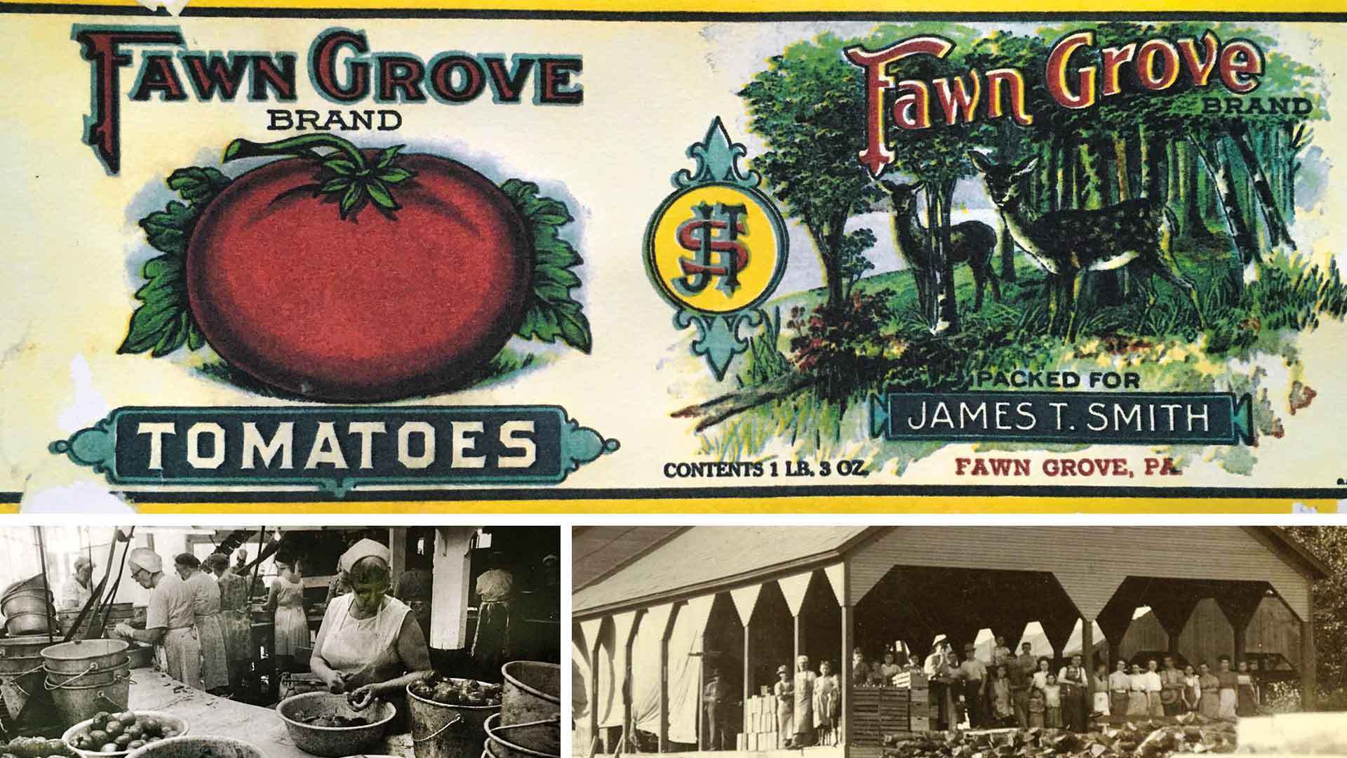 Canning 1920x1080