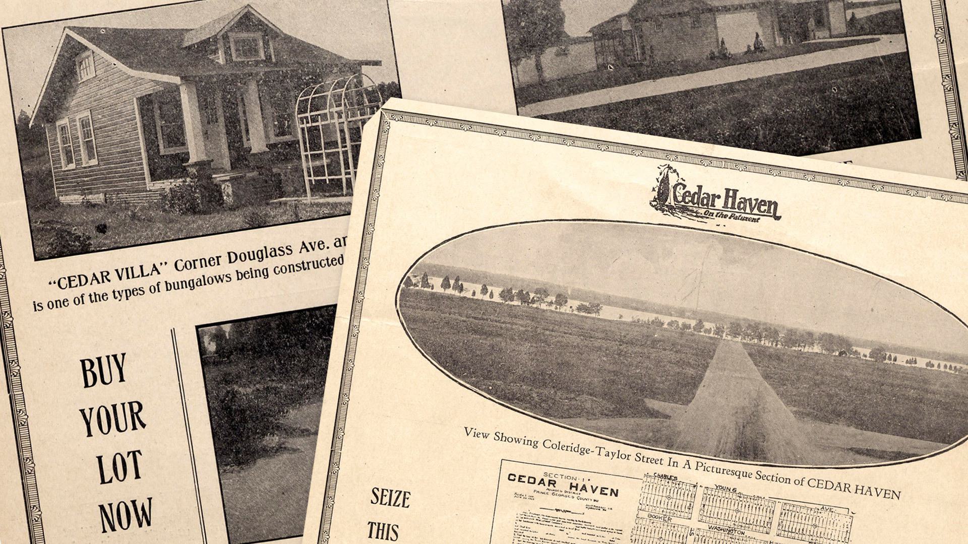 Cedar Haven collage 1920x1080