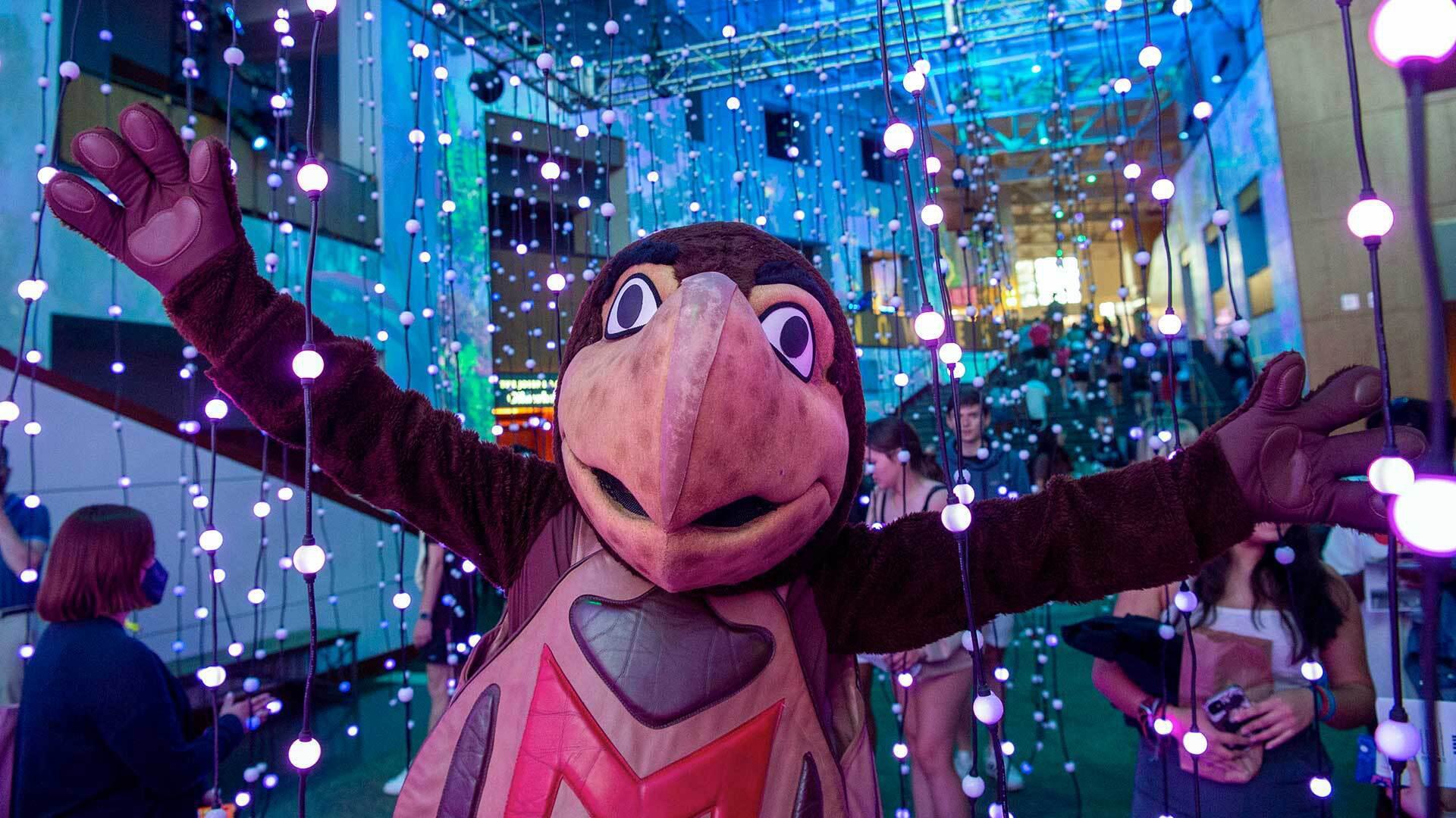 DSC 7629 1920x1080