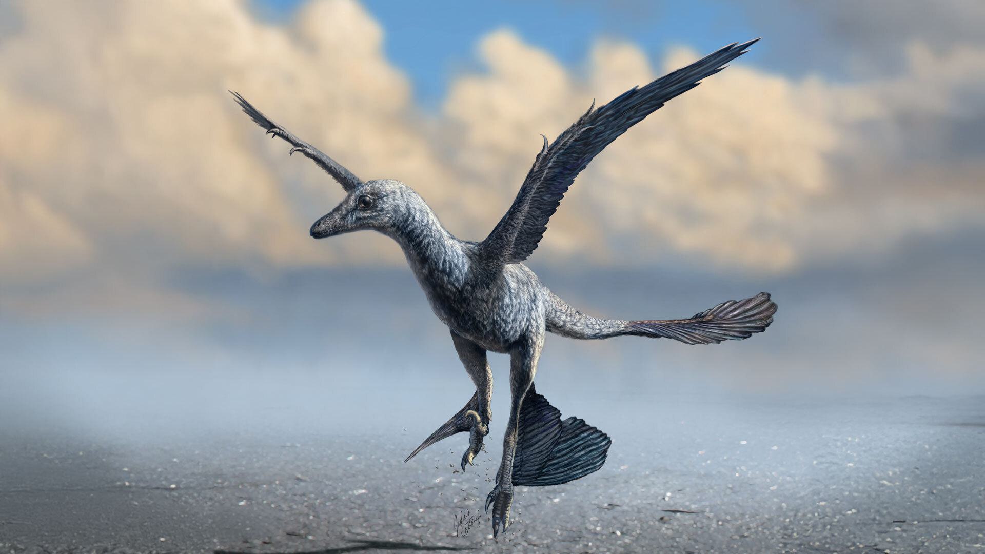 Dinobird 1920x1080