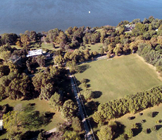 Drones Thumbnail Nosign 1 230x200 0