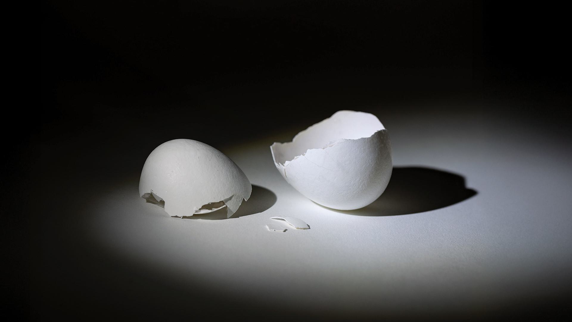 Eggs Avian Flu TERP SC 03032025 SC 4699 1920x1080