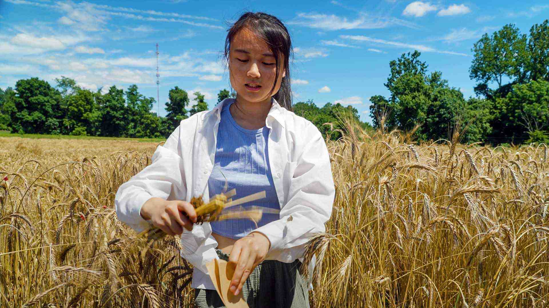 En TER Prise Wheat 1920x1080