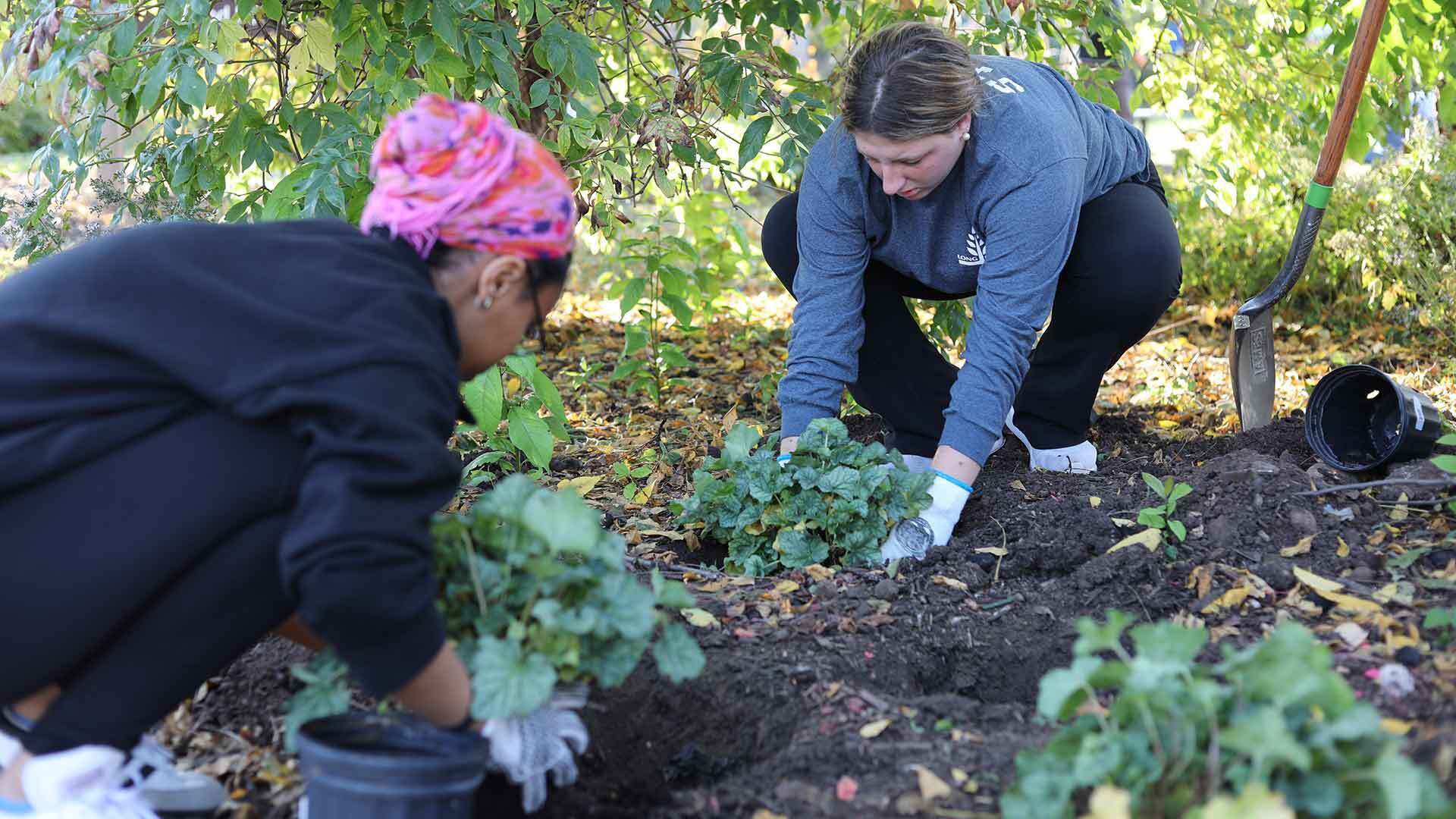 Global FE Wture Alliance 1920x1080