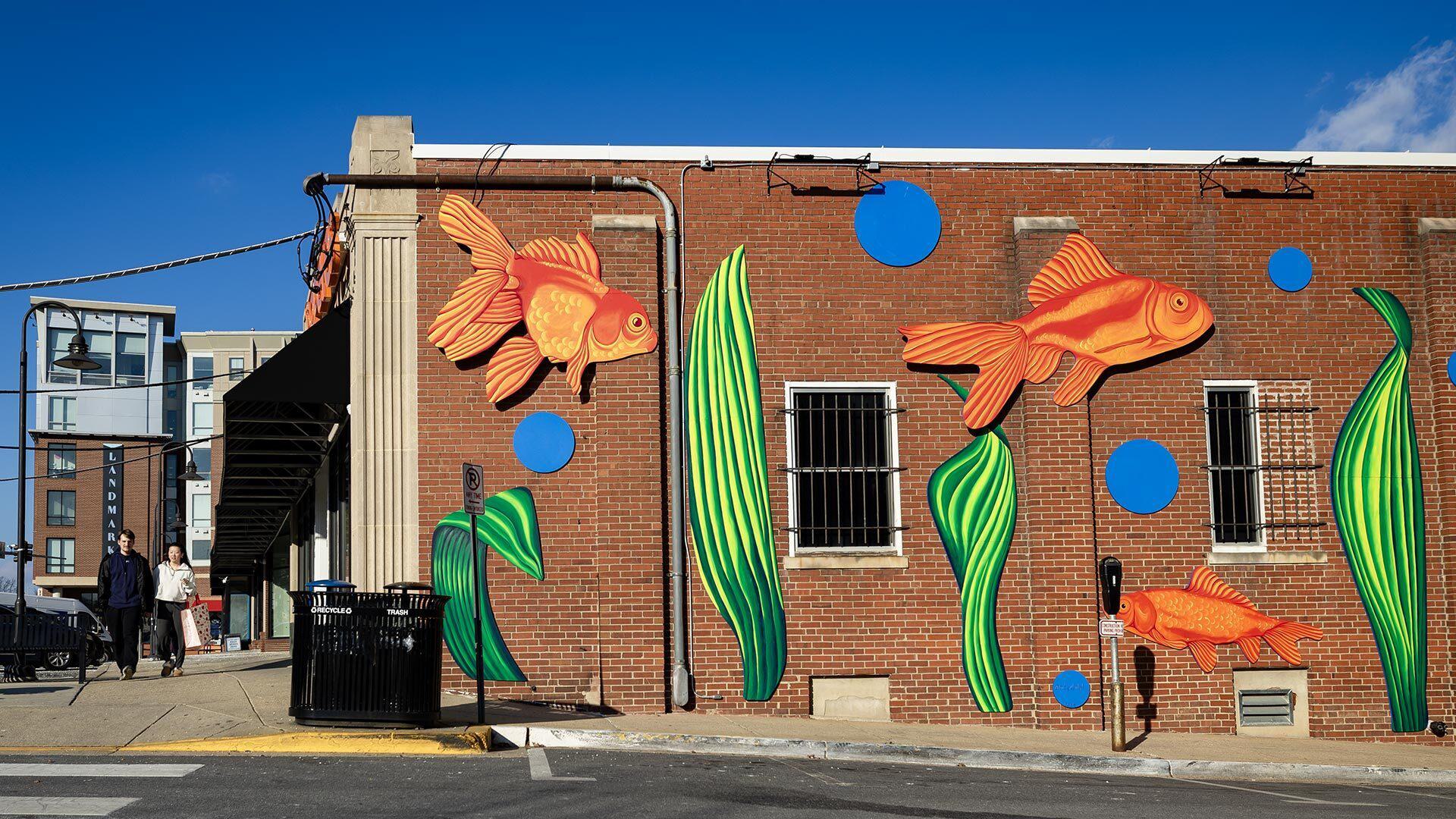 Goldfish Mural 02102025 SC 9707 1920x1080