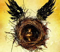 HP Thumbnail NOSIGN 230x200 1