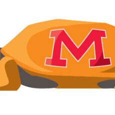 MDDAY turtle e1392319365858 230x230