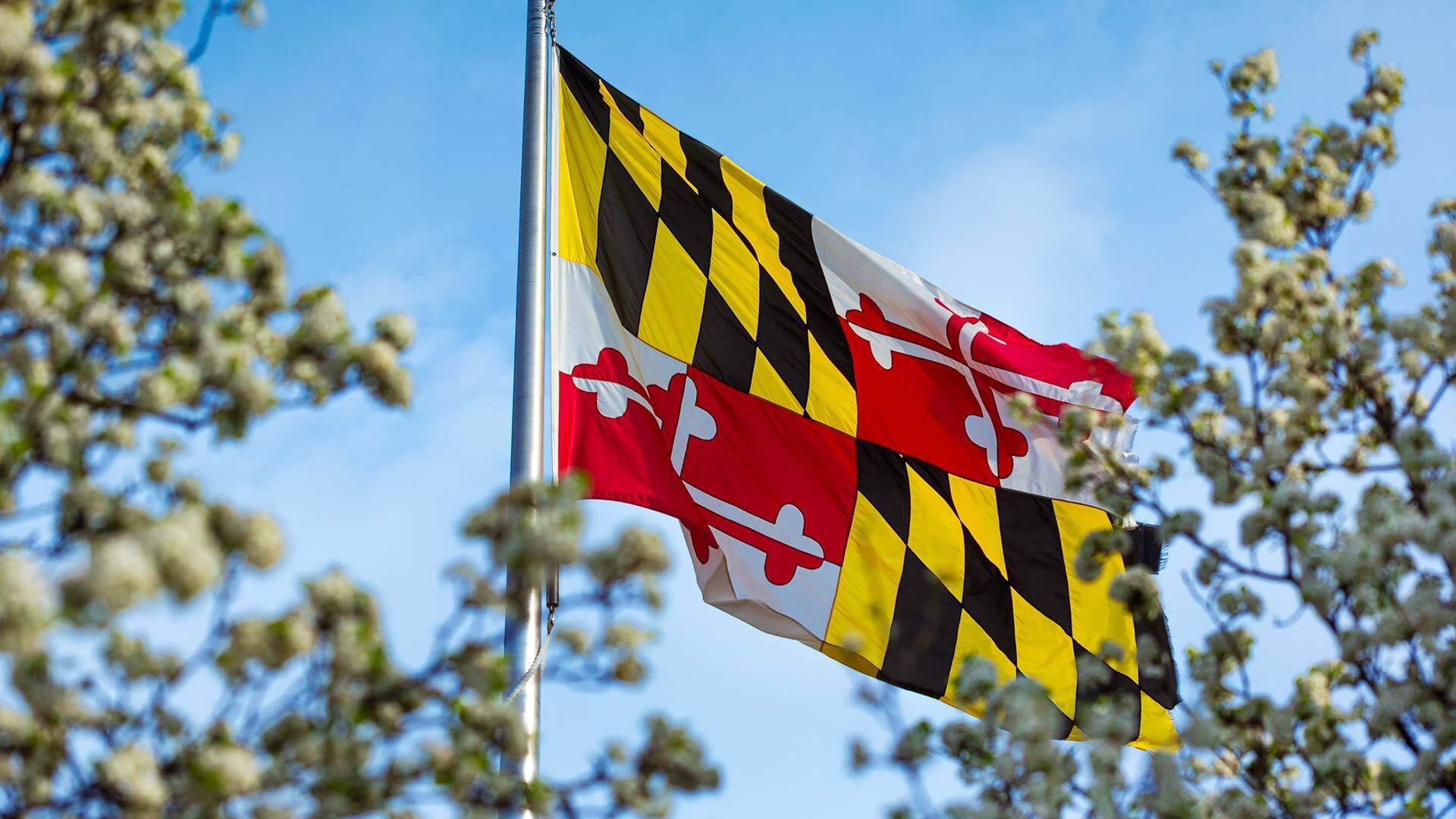 Maryland Flag 03202020 SC 0111 1920x1080