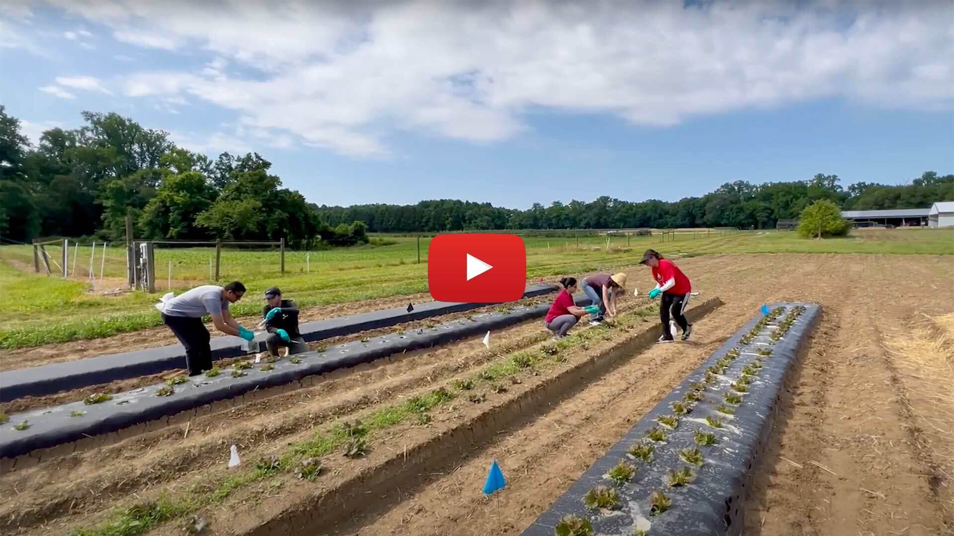 Microbiome Video Hero
