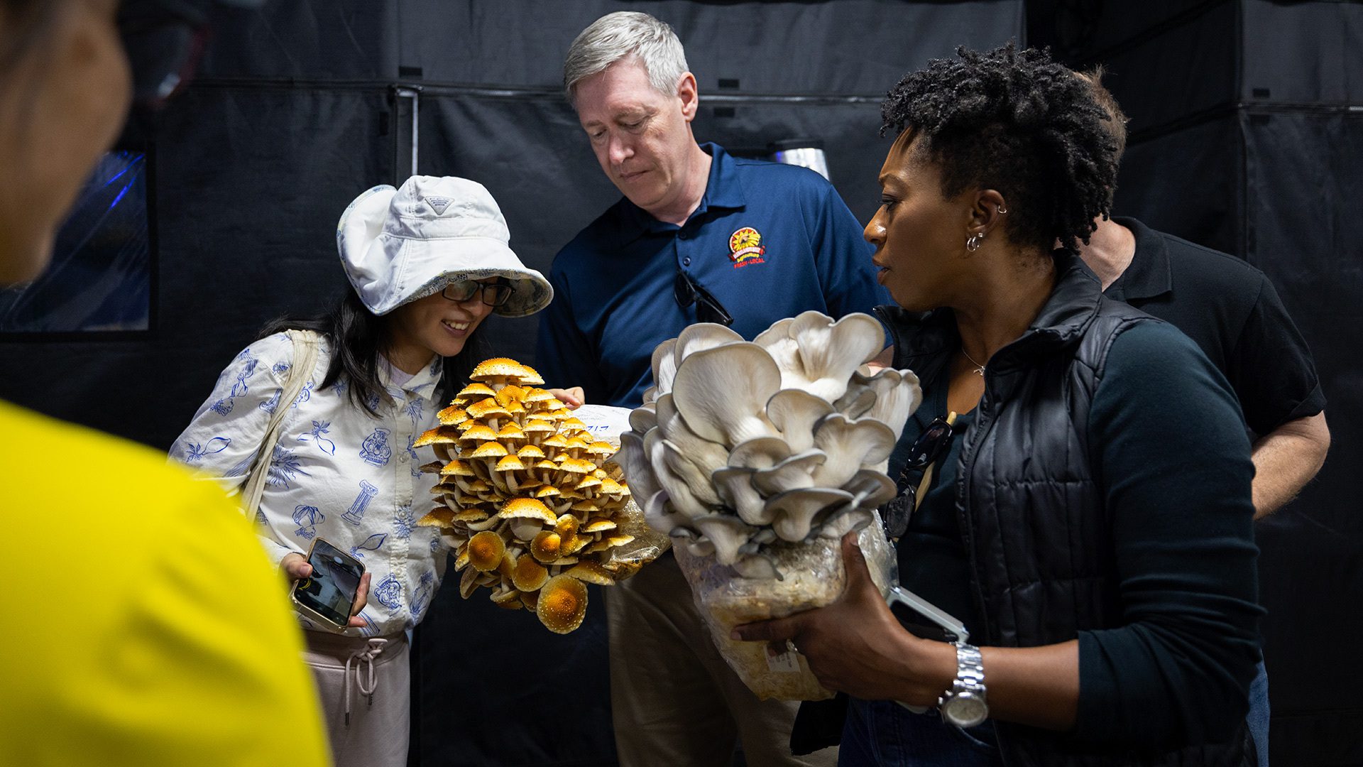 Mushrooms Falls Road Mushroom Manekin Jonathan 10062025 JC 3780 1920x1080