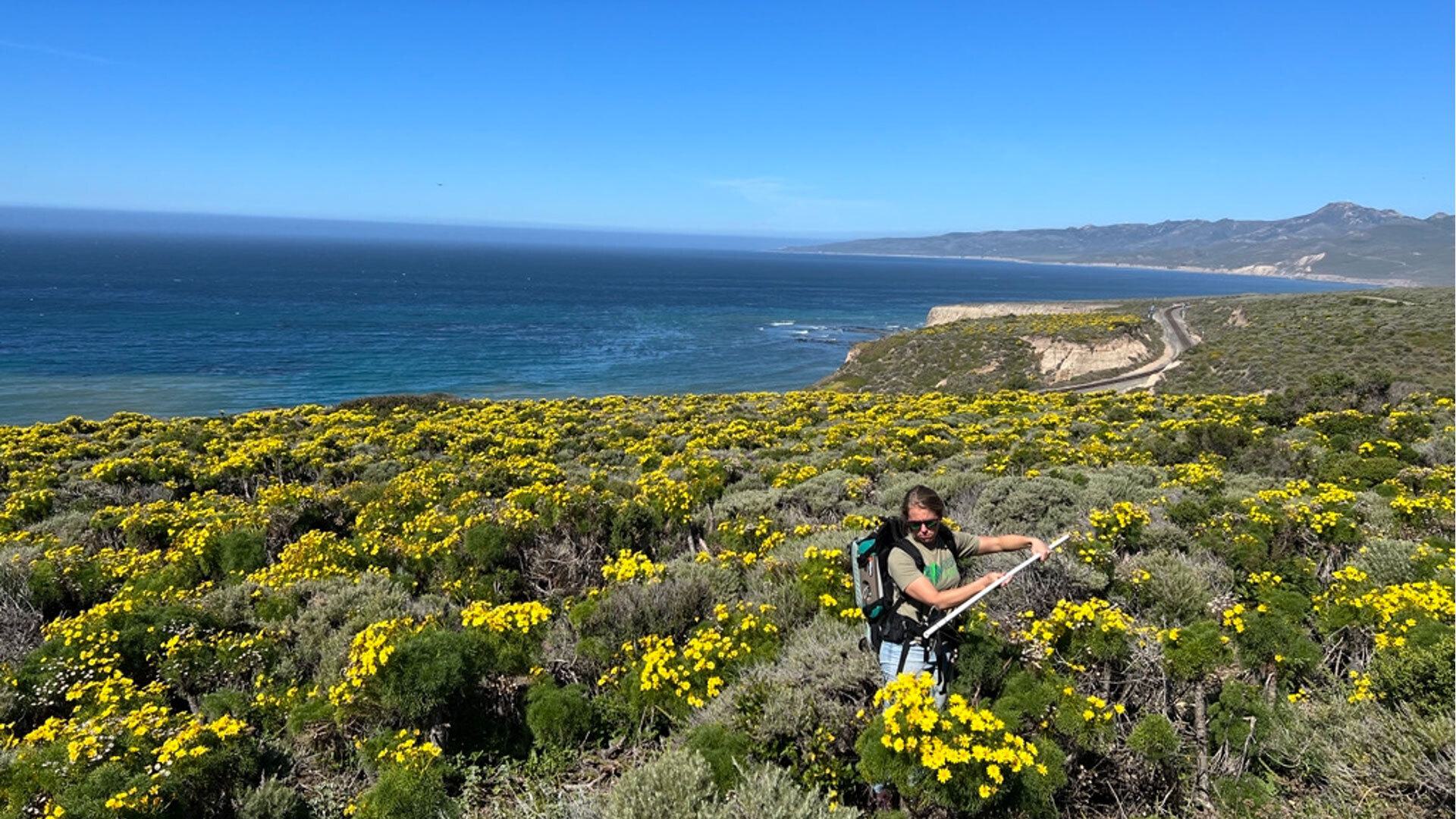 NASA wildflower field work 1920x1080 1