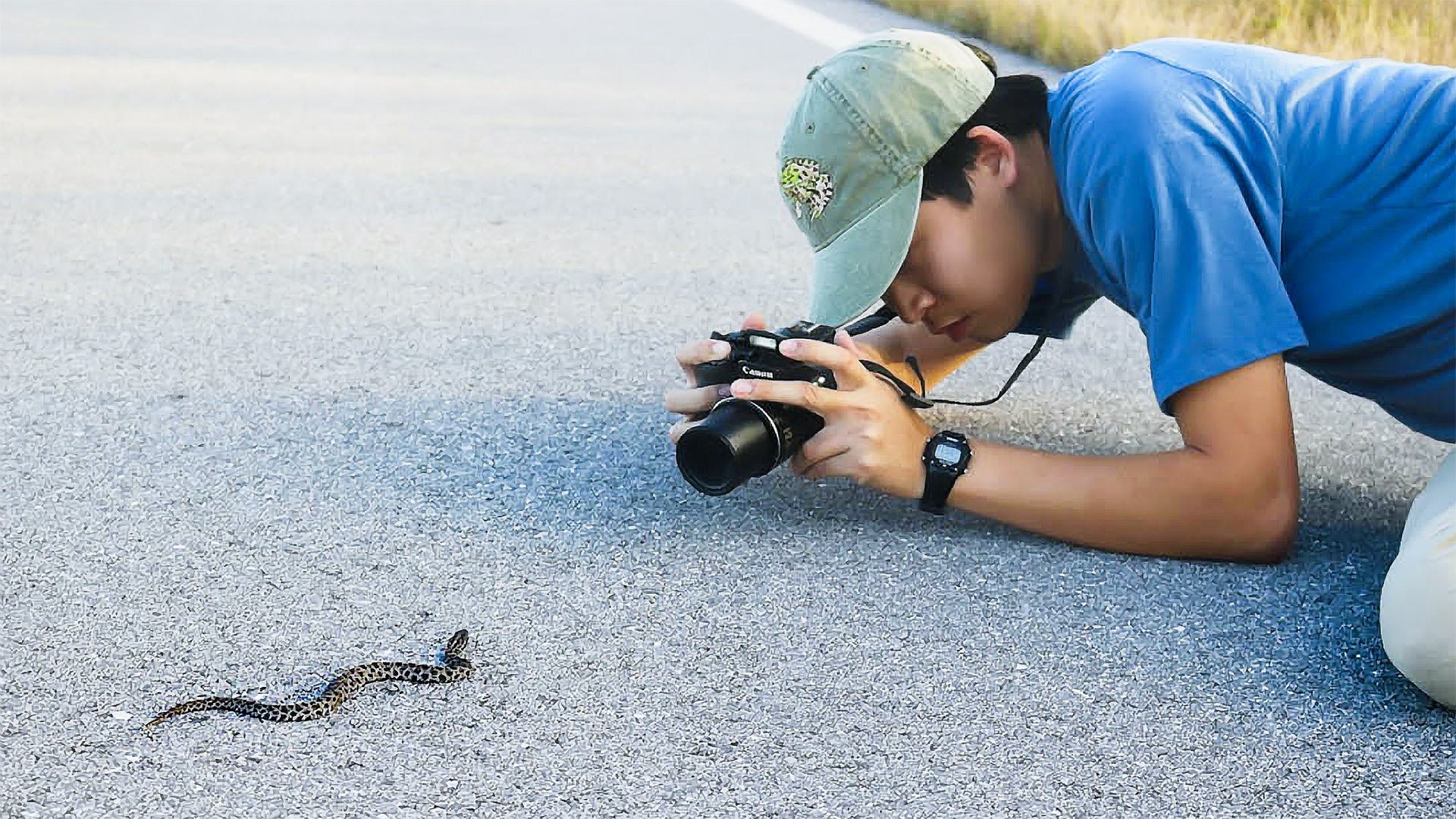 Photographing snake 1920x1080