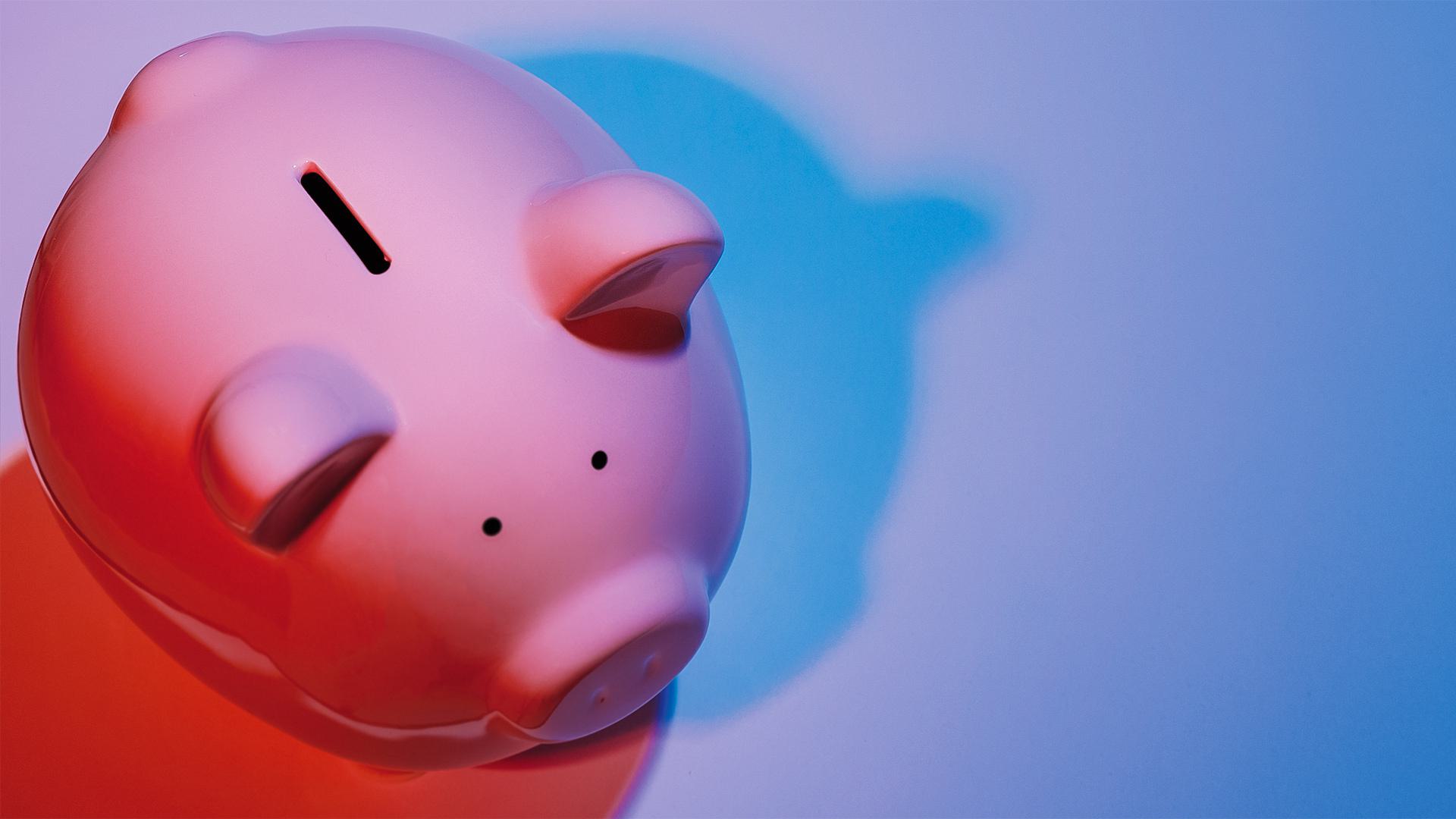 Pig 28 Jan19 55 RS Op4 1920x1080