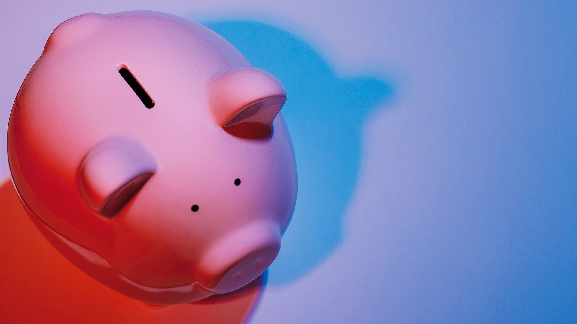 Pig 28 Jan19 55 RS Op4 1920x1080