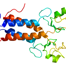 Protein BRCA1 PDB 1jm7 230x230