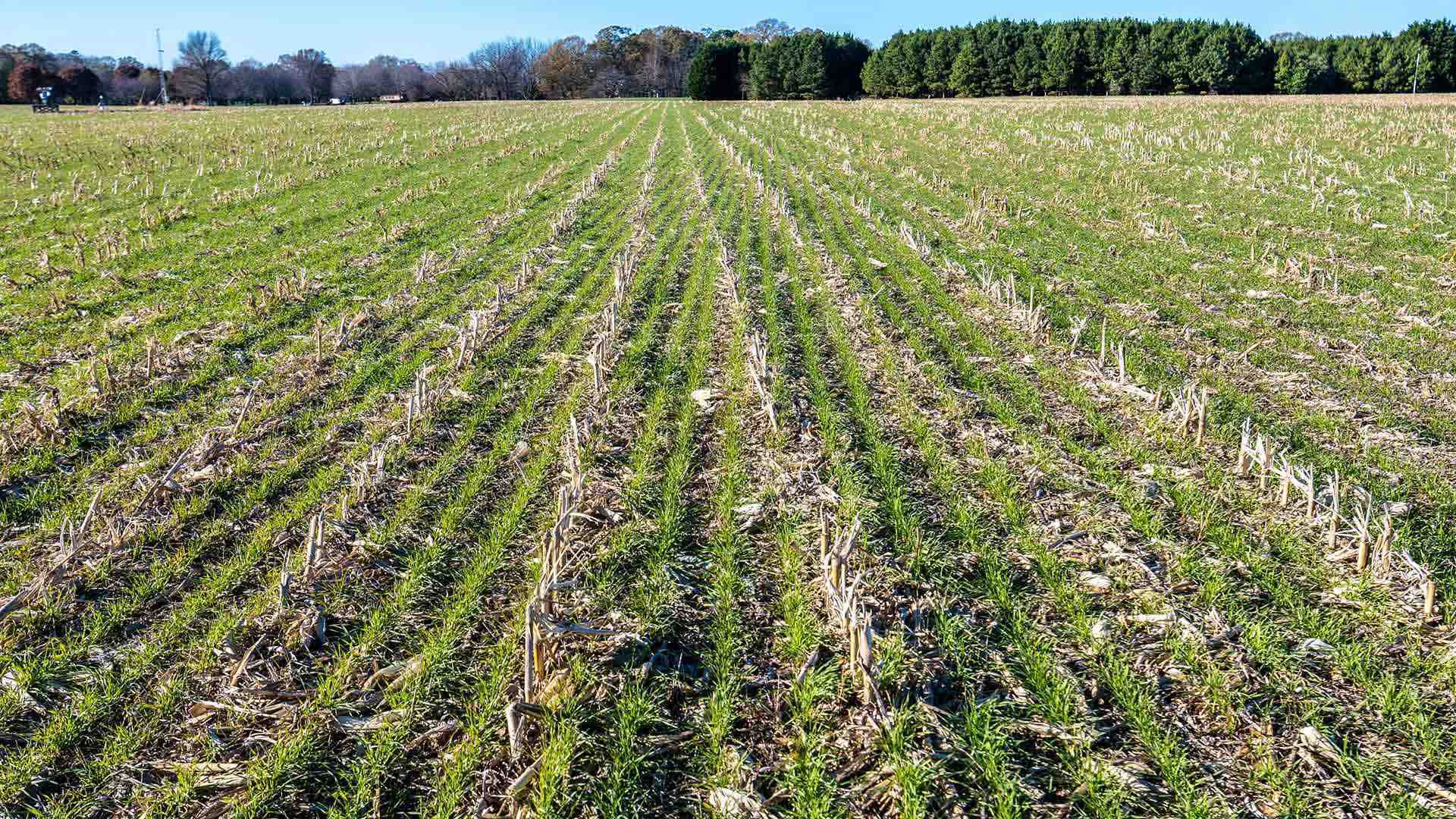 Remsberg 22112315001 1920x1080 1