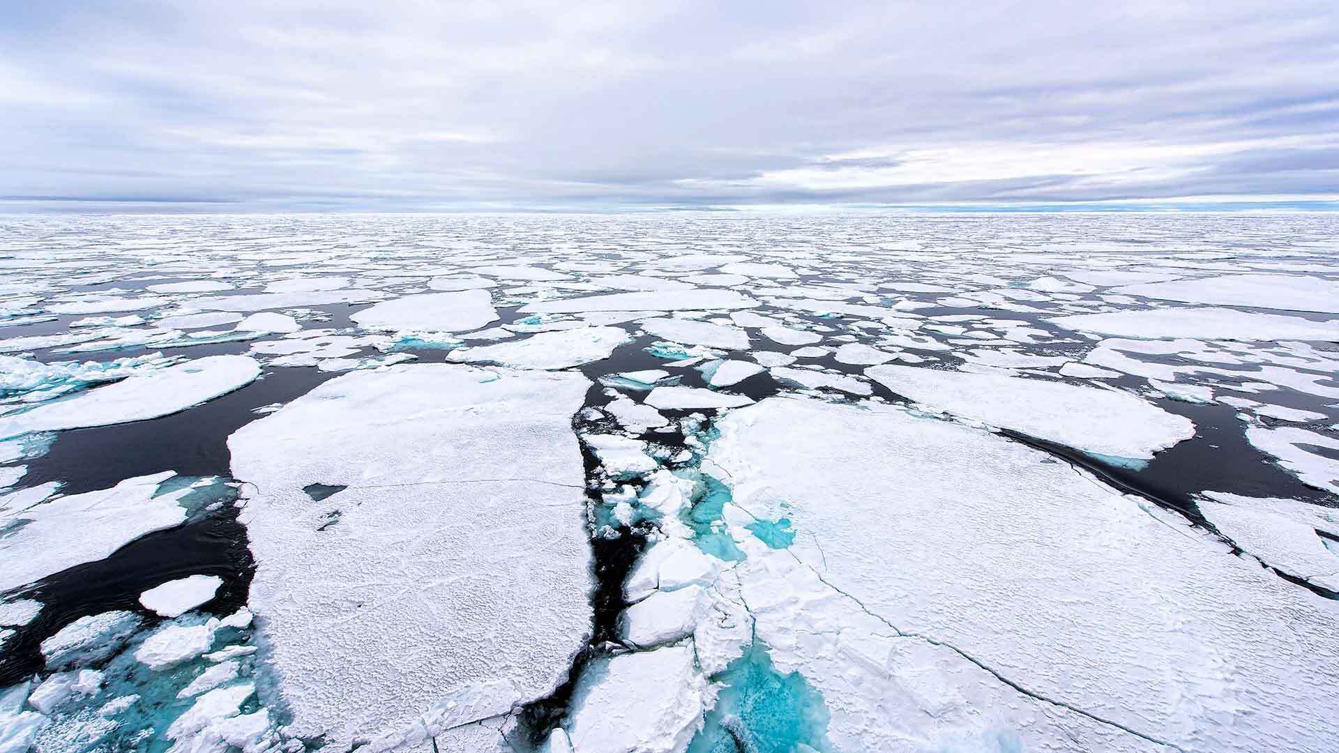 Sea Ice 19613685142 1920x1080