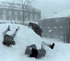 Snow Terp Tuesday final NO BANNER 230x200