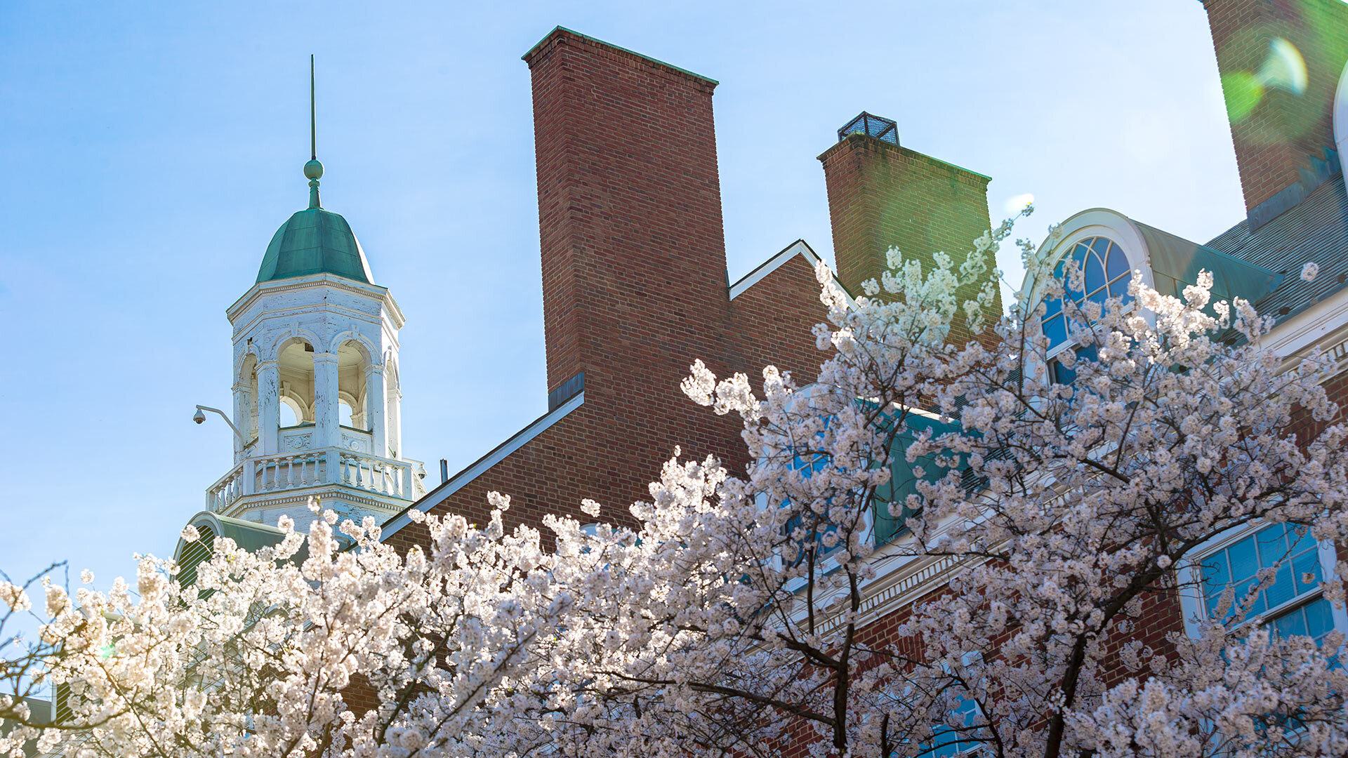 Steeple Blossoms CK0 U4700 SC 1920x1080 0