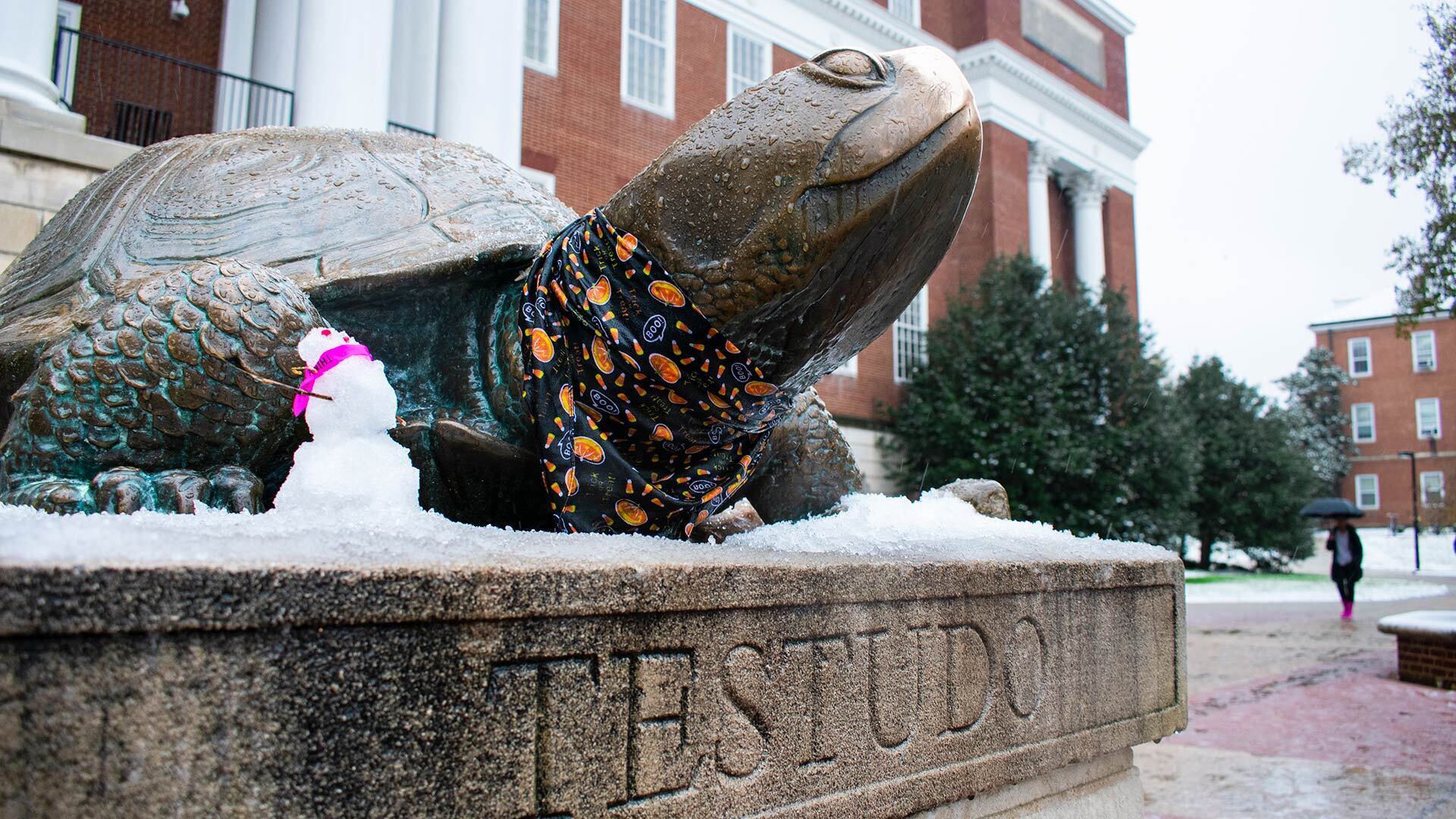 Testudo Snow TE 11152018 1920x1080 0