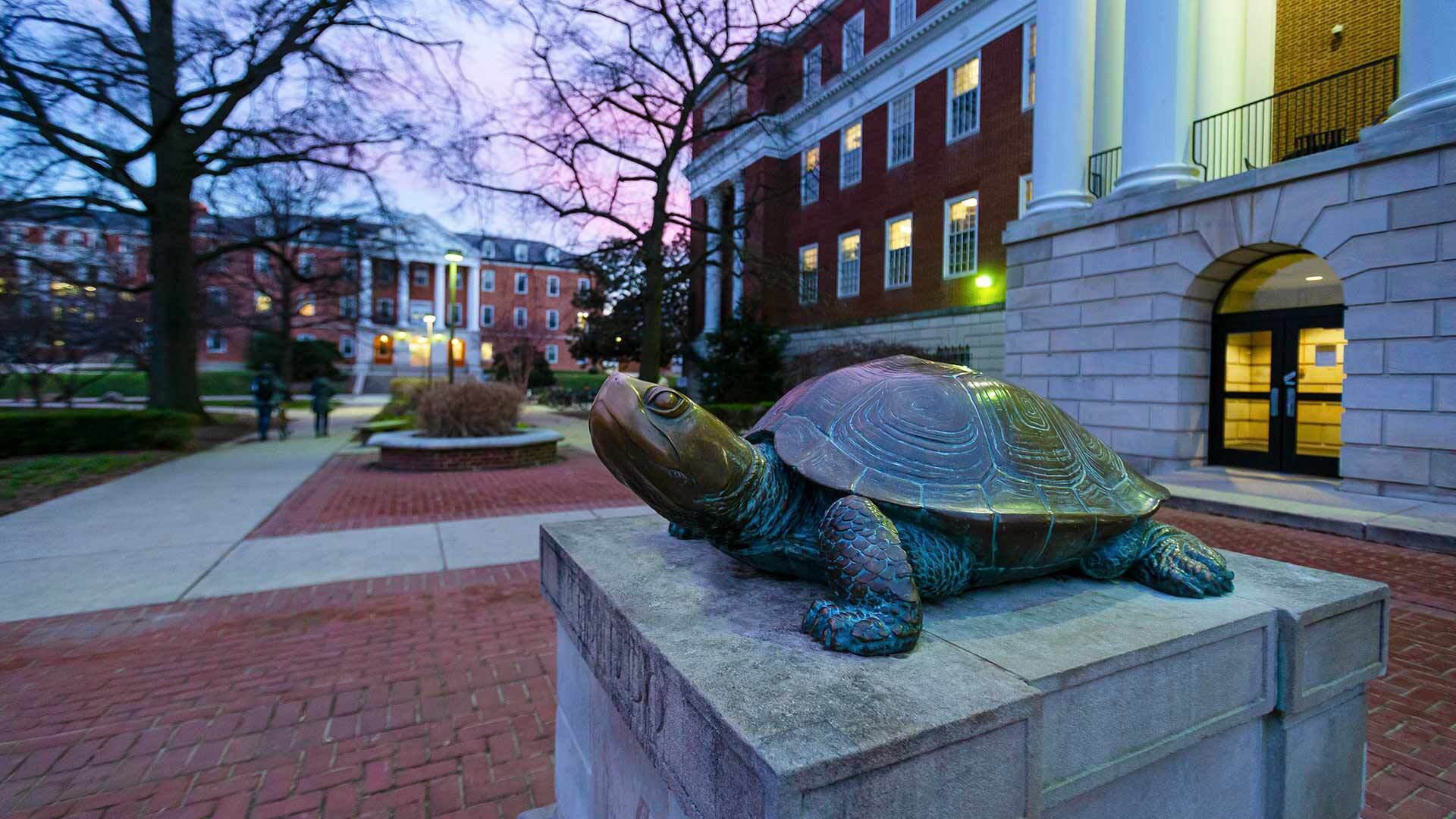 Testudo 01132016 7243 1920x1080