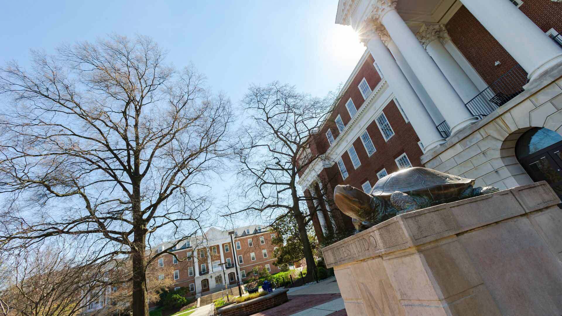 Testudo 03262020 JC 4527 1920x1080