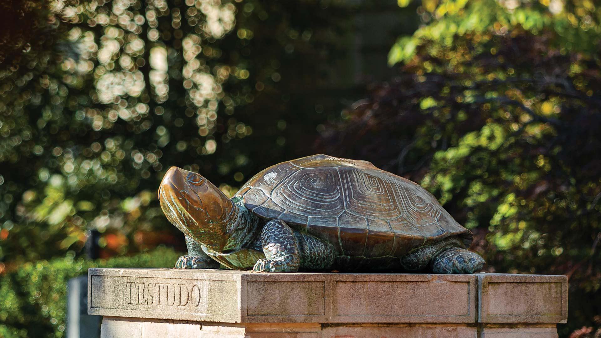 Testudo 11072020 SC 6307 fix 1920x1080