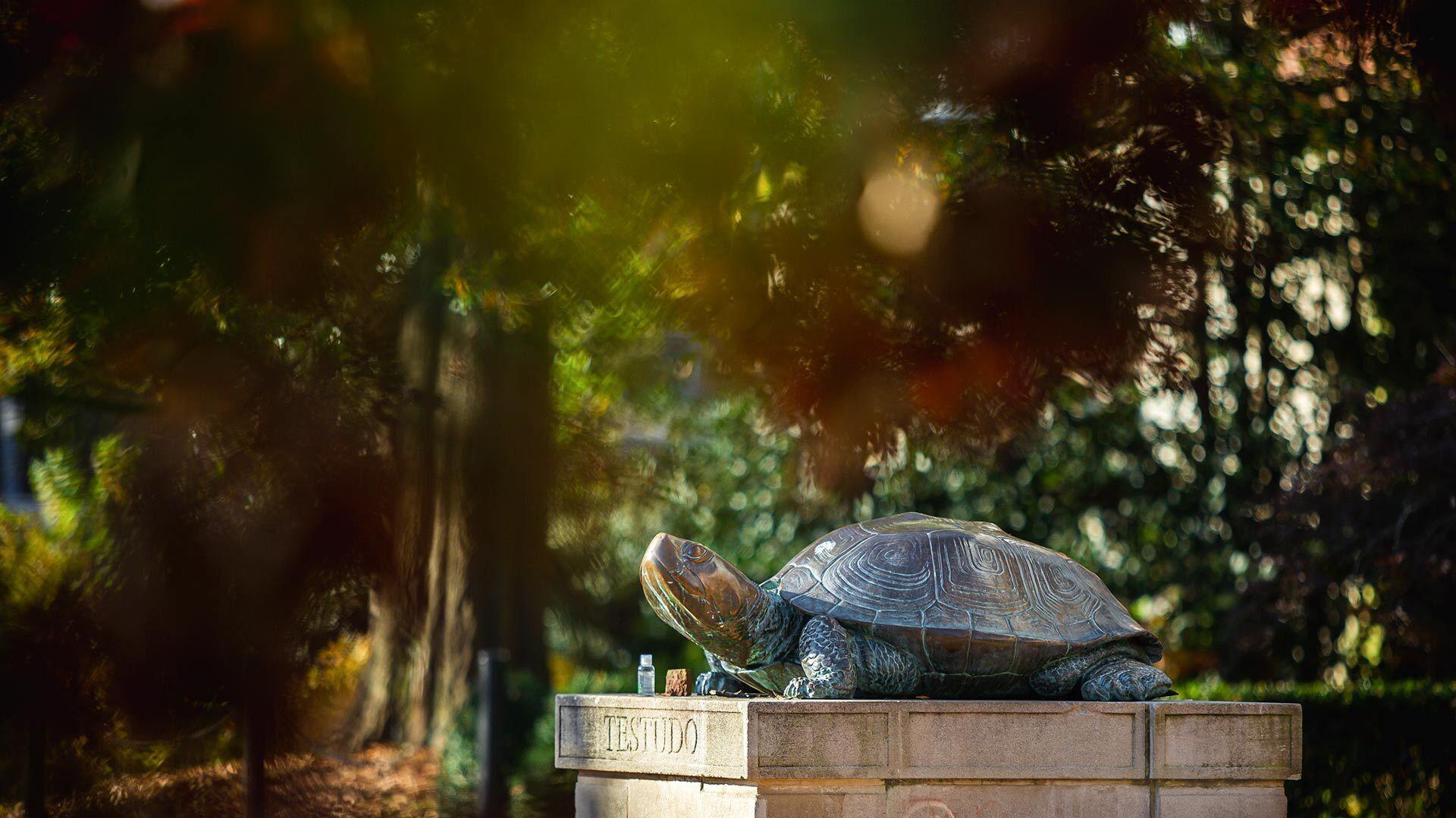 Testudo 11072020 SC 6347 1920x1080