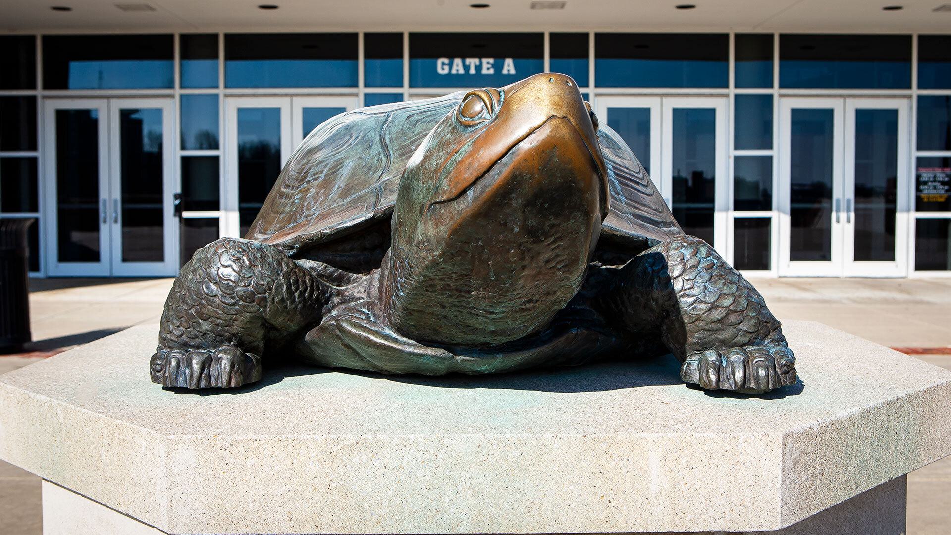 Testudo Comcast 02142013 5187 1920x1080