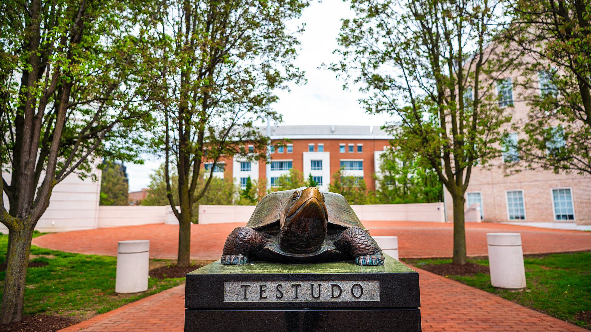 Testudo Riggs 04112024 DS 6101 DAM 1920x1080