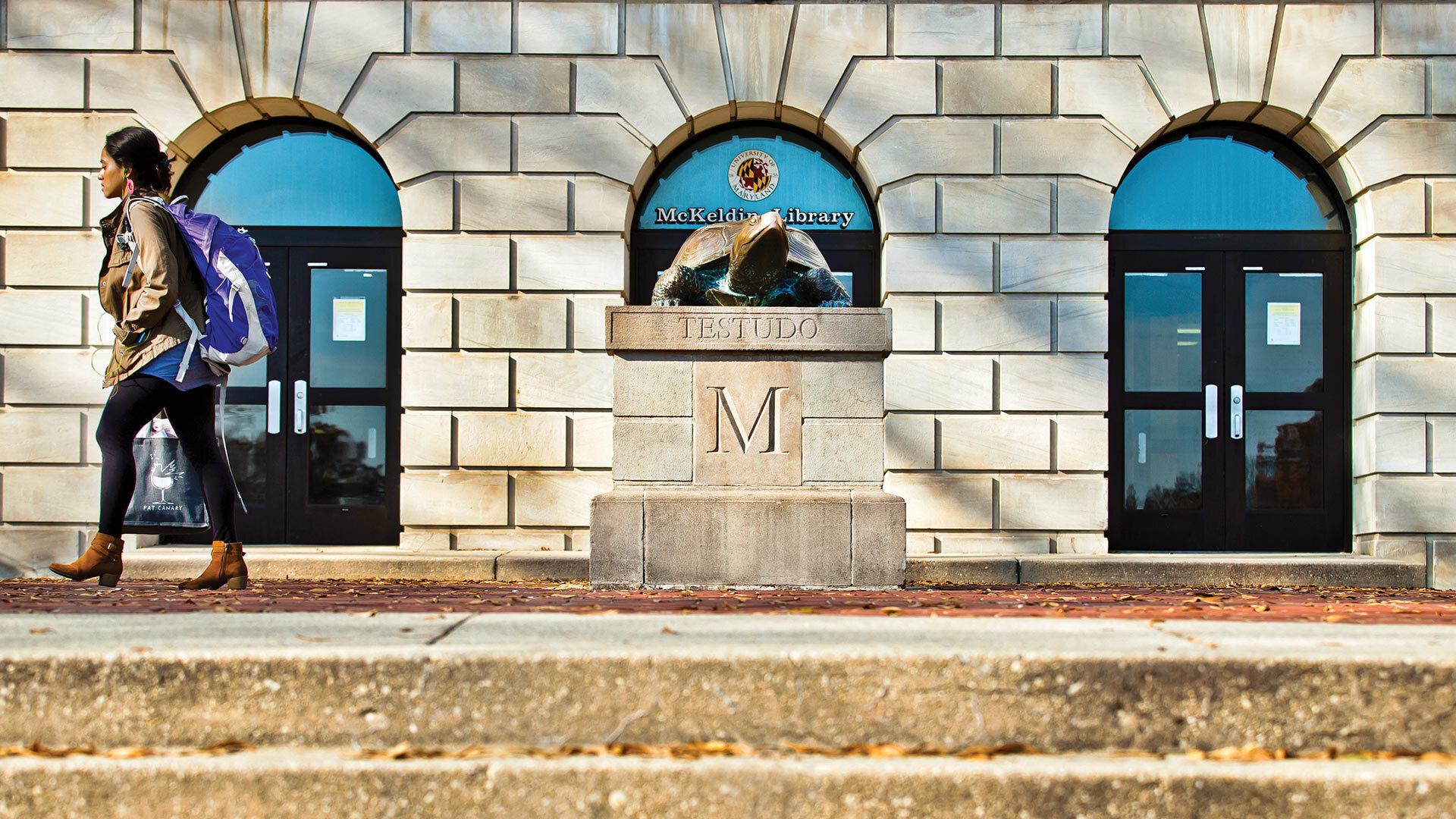 Testudo Students 11302017 9812 1920x1080
