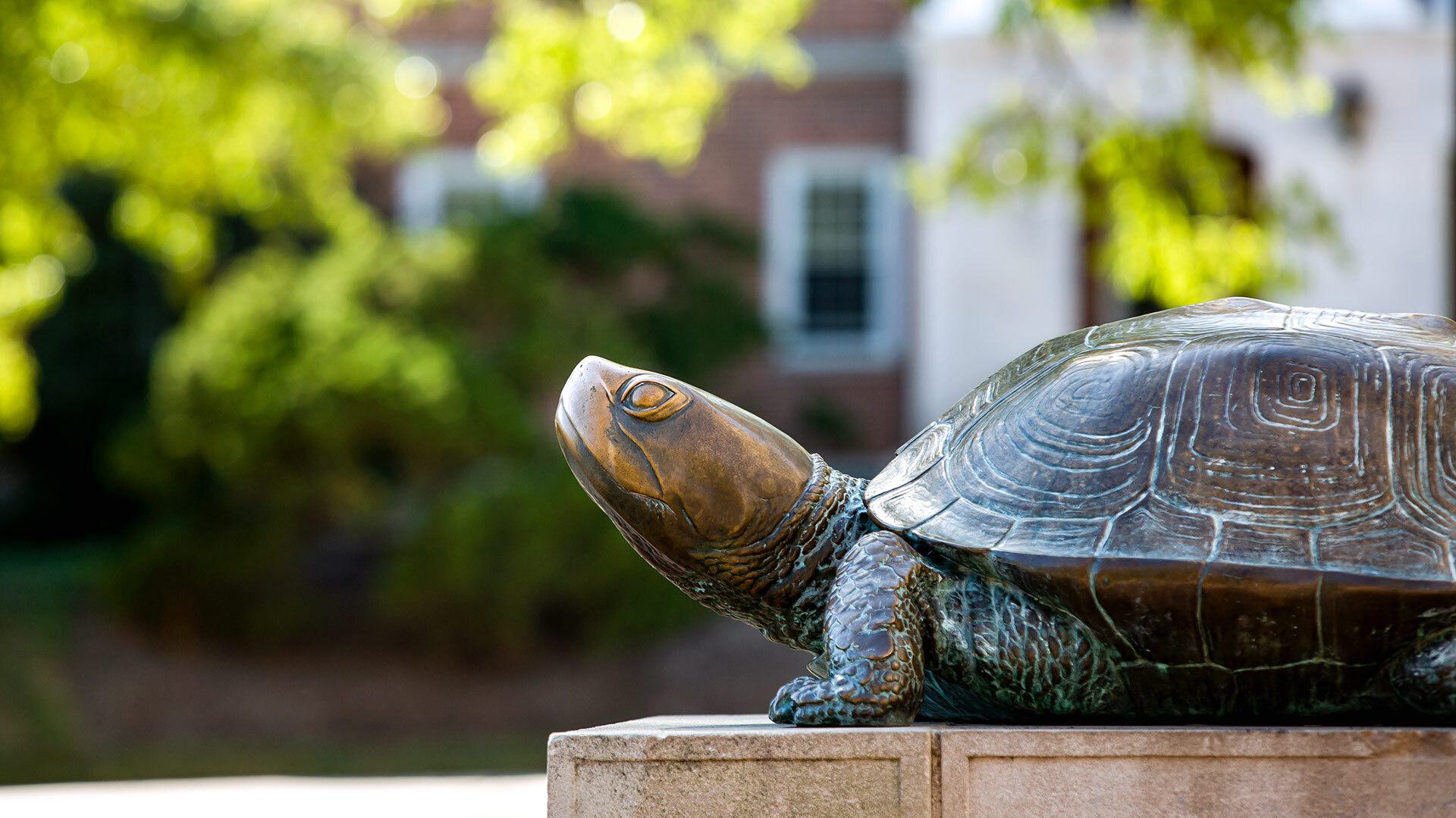 Testudo Students SC 10102019 6651 1920x1080