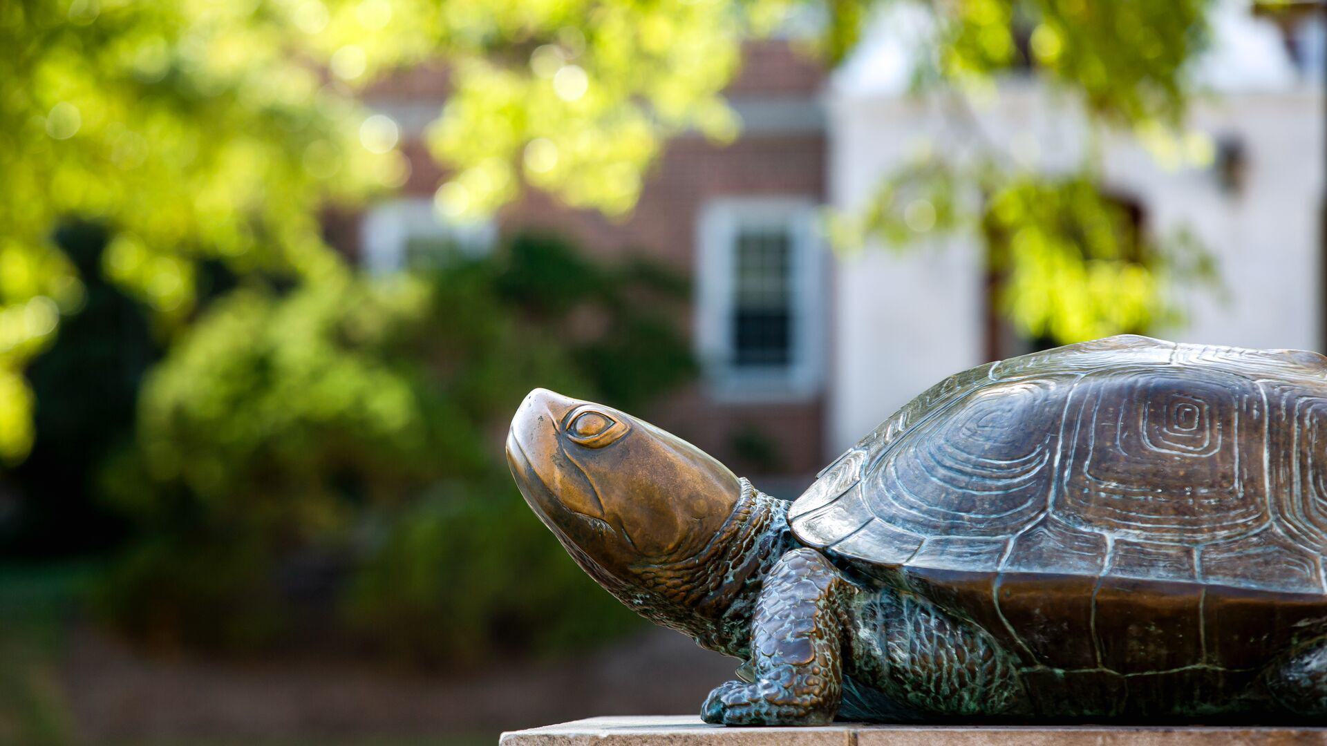 Testudo Students SC 10102019 6651