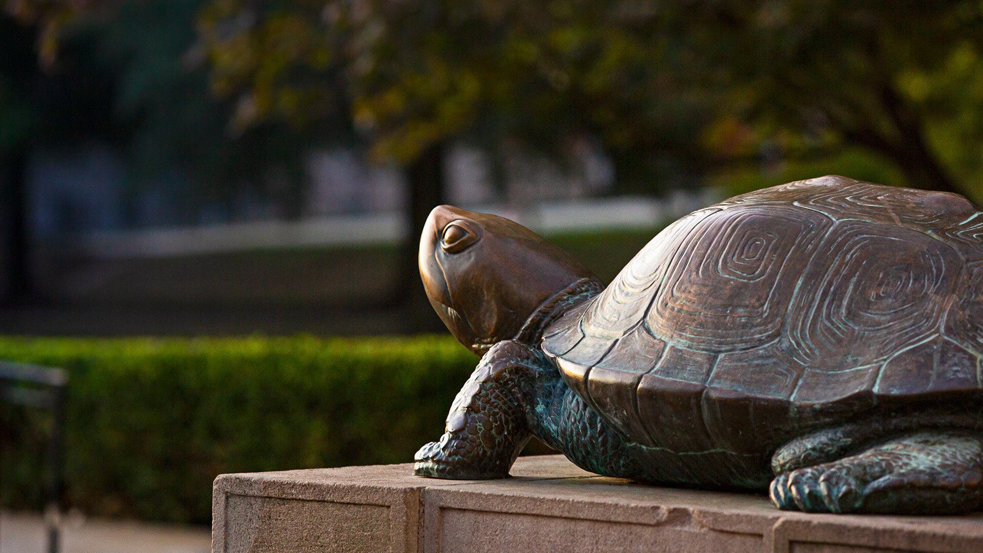 Testudo Sunrise SC 09182019 1165 1920x1080