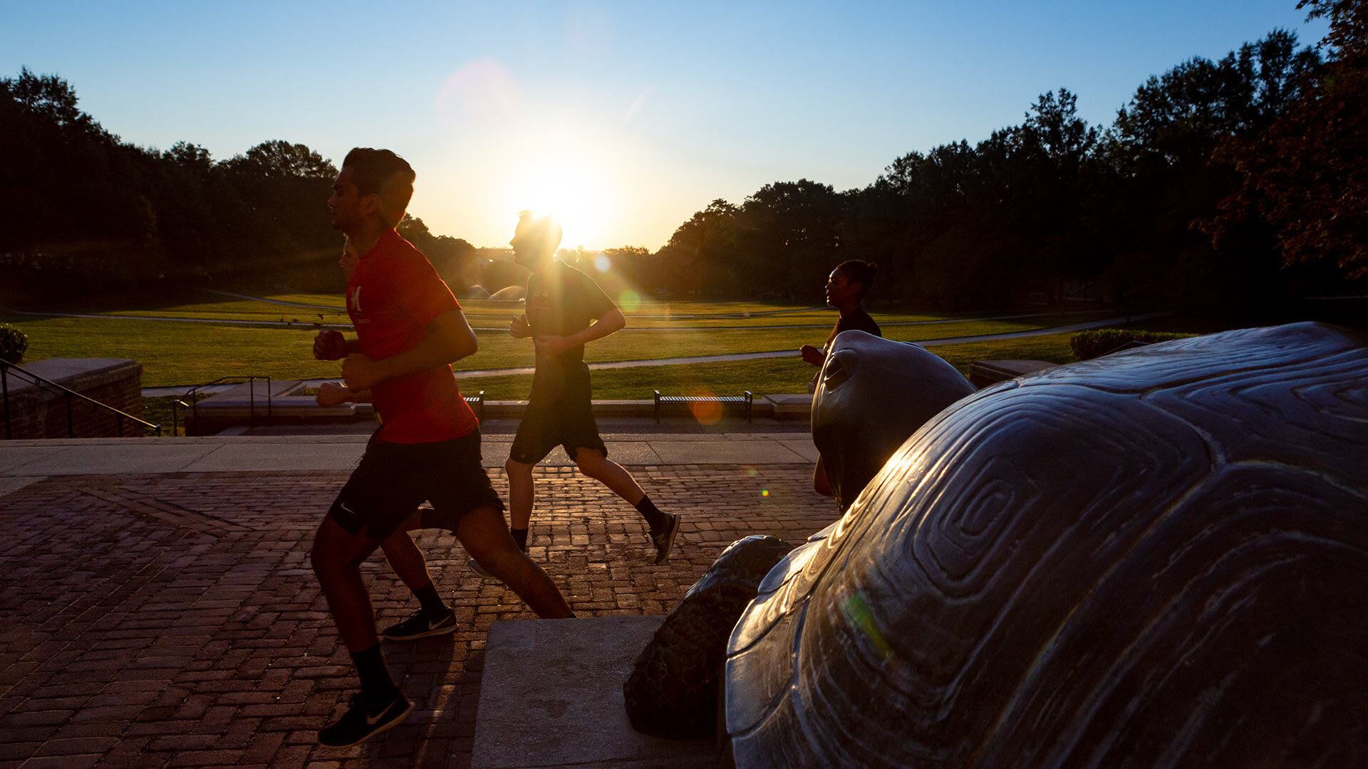 Testudo Sunrise SC 09182019 1638 2 1920x1080