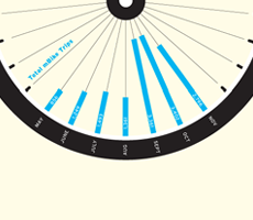 The Wheel Thing Thumbnail NOSIGN 230x200