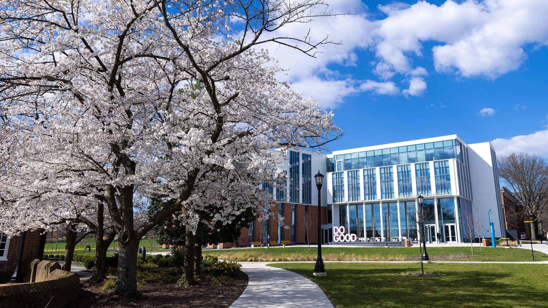Thurgood Marshall Hall Cherry Blossoms 03202024 JC 2271 1920x1080