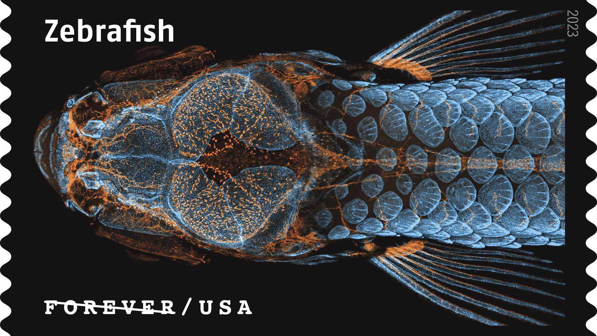 USPS23 STA030 C 1920x1080 1