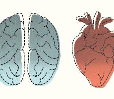 Values thumbnail 230x200