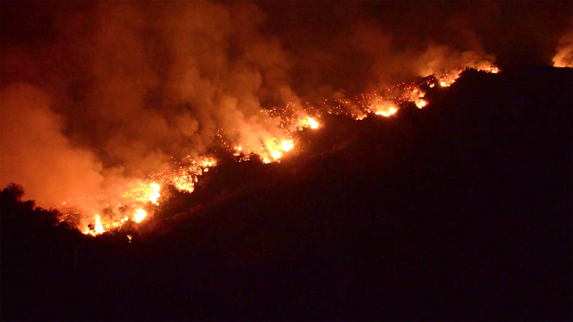 Wild Fire Screen Grab