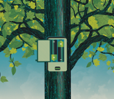 Battery Thumbnail 1 230x200
