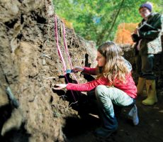 Digging it 230x200 1